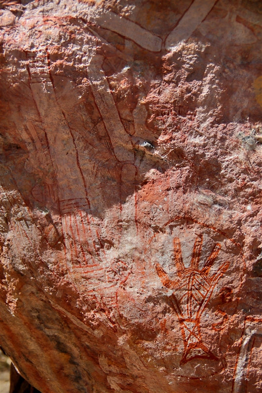 _800Mt Borradaile - Cooper Creek_5705_m - Copy